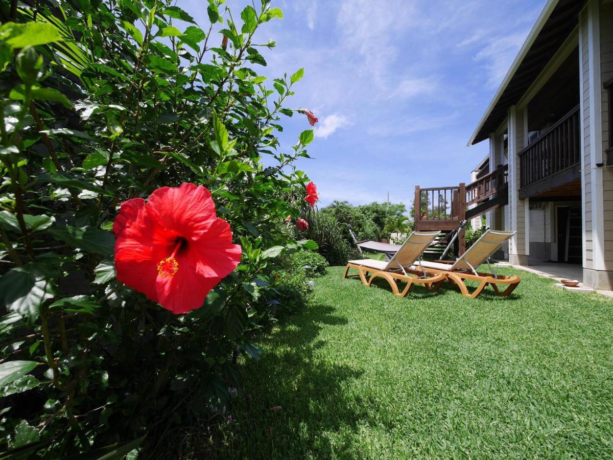 Private Vacation Villa Kohola Мотобу Экстерьер фото